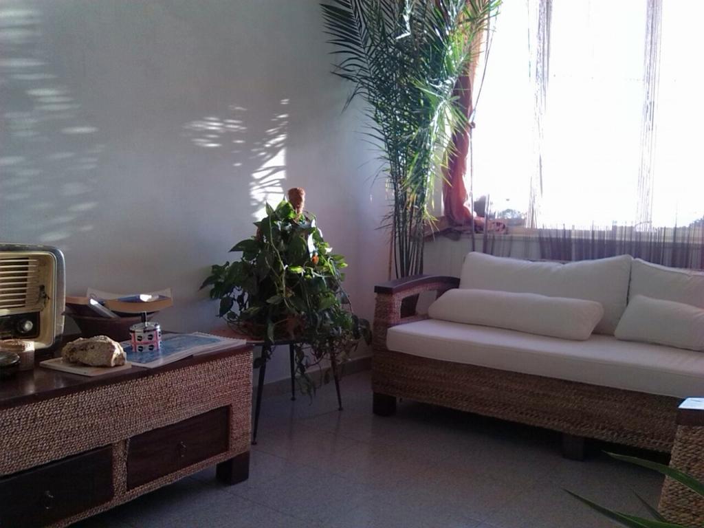 B&B Su Rizolu Сагама Экстерьер фото